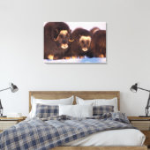 Noord-Amerika, VS, Alaska, poolcirkel, Canvas Afdruk (Insitu (Slaapkamer))