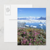 Noord-Amerika, VS, Alaska, Prince William Briefkaart (Voorkant / Achterkant)