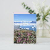 Noord-Amerika, VS, Alaska, Prince William Briefkaart (Staand voorkant)