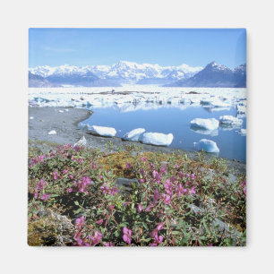 Noord-Amerika, VS, Alaska, Prince William Magneet