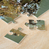 Noord-Amerika, VS, Alaska. Rosse kolibrie Legpuzzel (Zijkant)