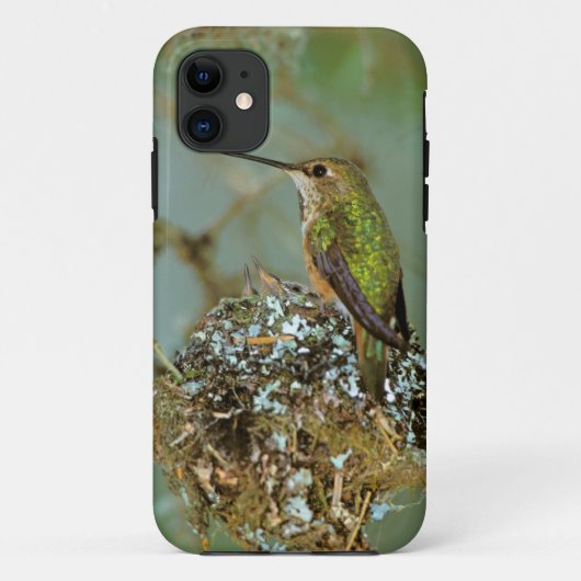 Noord-Amerika, VS, Alaska. Rufous Humming Case-Mate iPhone Case (Achterkant)