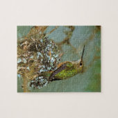 Noord-Amerika, VS, Alaska. Rufous Humming Legpuzzel (Horizontaal)