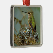 Noord-Amerika, VS, Alaska. Rufous Humming Metalen Ornament (Rechts)