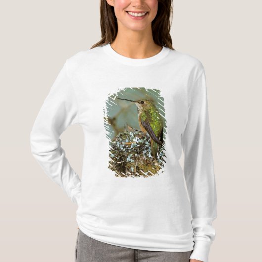Noord-Amerika, VS, Alaska. Rufous Humming T-shirt (Voorkant)