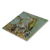 Noord-Amerika, VS, Alaska. Rufous Humming Tegeltje (Zijkant)