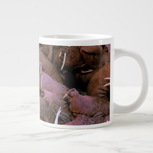 Noord-Amerika, VS, Alaska, Yukon Delta Nationaal Grote Koffiekop (Rechts)