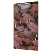 Noord-Amerika, VS, Alaska, Yukon Delta Nationaal Klembord (Links)