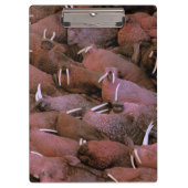 Noord-Amerika, VS, Alaska, Yukon Delta Nationaal Klembord (Voorkant)