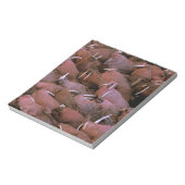 Noord-Amerika, VS, Alaska, Yukon Delta Nationaal Notitieblok (Linkerzijde)