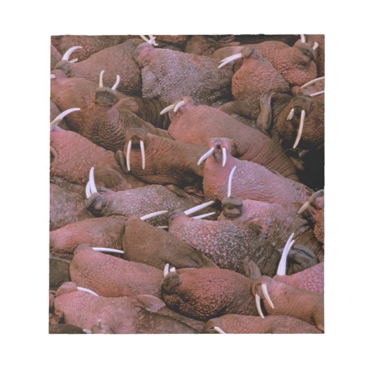 Noord-Amerika, VS, Alaska, Yukon Delta Nationaal Notitieblok (Voorkant)