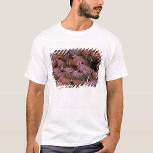 Noord-Amerika, VS, Alaska, Yukon Delta nationaal T-shirt