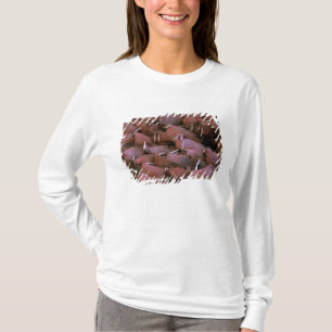 Noord-Amerika, VS, Alaska, Yukon Delta nationaal T-shirt