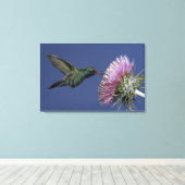 Noord-Amerika, VS, Arizona. Breedbuikkoel Canvas Afdruk (Insitu (Houten vloer))