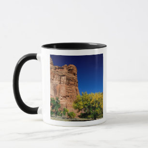 Noord-Amerika, VS, Arizona, Navajo-indiaan 3 Mok