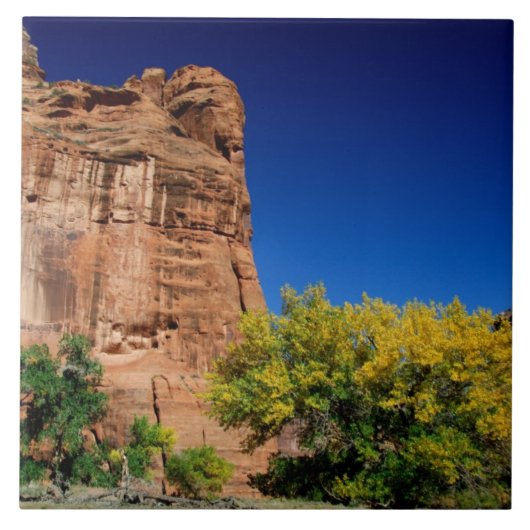 Noord-Amerika, VS, Arizona, Navajo-indiaan 3 Tegeltje (Voorkant)