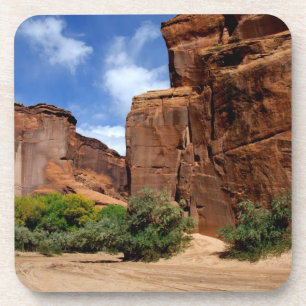 Noord-Amerika, VS, Arizona, Navajo-indiaan 5 Bier Onderzetter