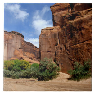 Noord-Amerika, VS, Arizona, Navajo-indiaan 5 Tegeltje