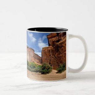 Noord-Amerika, VS, Arizona, Navajo-indiaan 5 Tweekleurige Koffiemok