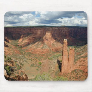 Noord-Amerika, VS, Arizona, Navajo-indiaan 6 Muismat