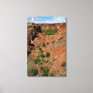 Noord-Amerika, VS, Arizona, Navajo-indiaan Canvas Afdruk