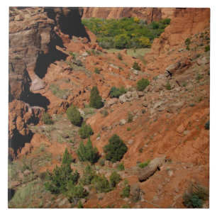 Noord-Amerika, VS, Arizona, Navajo-indiaan Tegeltje