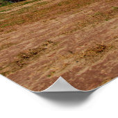 Noord-Amerika, VS, Arizona, Navajo Indian 2 Poster (Hoek)