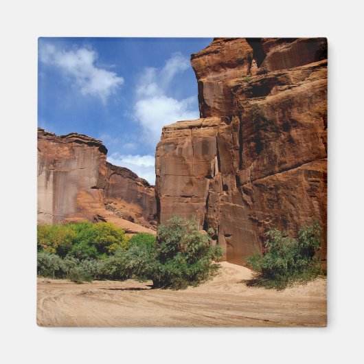 Noord-Amerika, VS, Arizona, Navajo Indian 5 Magneet (Voorkant)