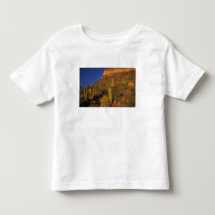 Noord-Amerika, VS, Arizona, Organ Pipe Cactus 2 Kinder Shirts