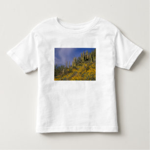 Noord-Amerika, VS, Arizona, Organ Pipe Cactus Kinder Shirts