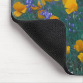 Noord-Amerika, VS, Arizona, Organ Pipe Cactus Muismat (Hoek)