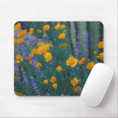 Noord-Amerika, VS, Arizona, Organ Pipe Cactus Muismat (Met muis)