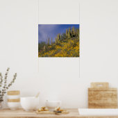 Noord-Amerika, VS, Arizona, Organ Pipe Cactus Poster (Keuken)