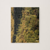 Noord-Amerika, VS, Arizona, Sonoran-woestijn Legpuzzel (Verticaal)