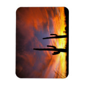 Noord-Amerika, VS, Arizona, Sonoran-woestijn. Magneet (Verticaal)
