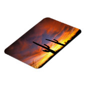 Noord-Amerika, VS, Arizona, Sonoran-woestijn. Magneet (Linkerzijde)