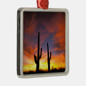 Noord-Amerika, VS, Arizona, Sonoran-woestijn. Metalen Ornament (Rechts)