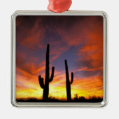 Noord-Amerika, VS, Arizona, Sonoran-woestijn. Metalen Ornament (Voorkant)