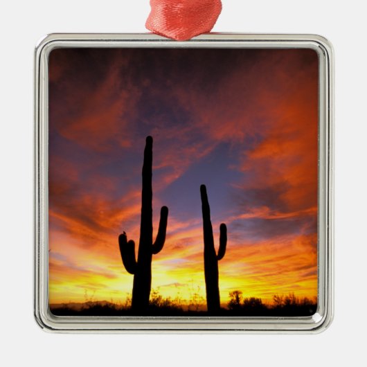 Noord-Amerika, VS, Arizona, Sonoran-woestijn. Metalen Ornament (Voorkant)