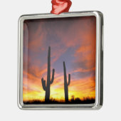 Noord-Amerika, VS, Arizona, Sonoran-woestijn. Metalen Ornament (Links)