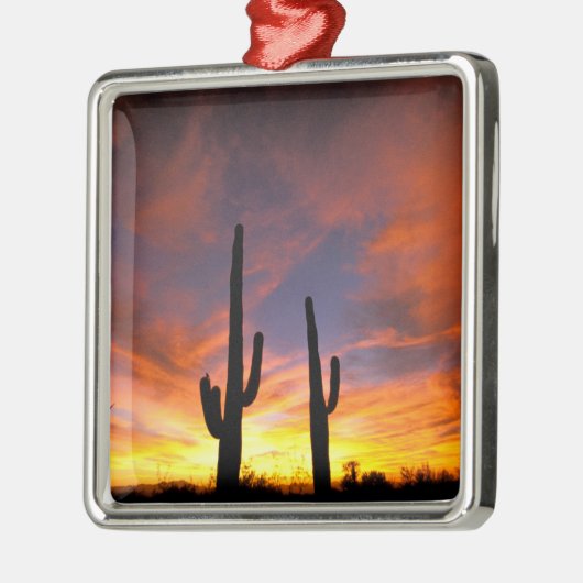 Noord-Amerika, VS, Arizona, Sonoran-woestijn. Metalen Ornament (Links)