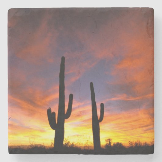 Noord-Amerika, VS, Arizona, Sonoran-woestijn. Stenen Onderzetter (Voorkant)