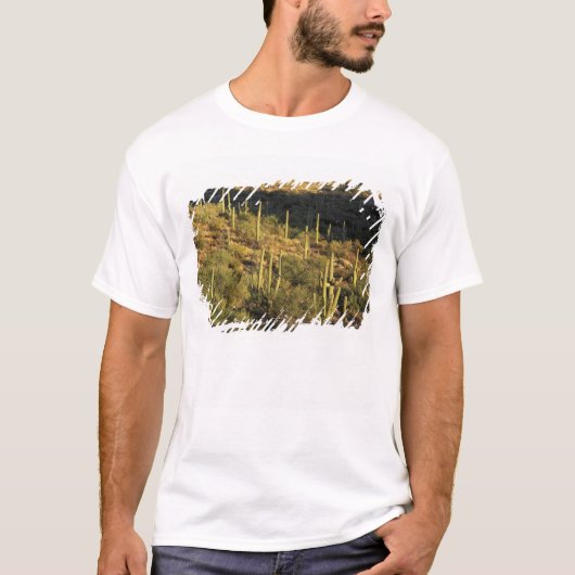 Noord-Amerika, VS, Arizona, Sonoran-woestijn T-shirt (Voorkant)