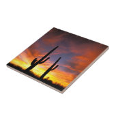 Noord-Amerika, VS, Arizona, Sonoran-woestijn Tegeltje (Zijkant)