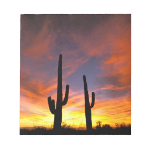 Noord-Amerika, VS, Arizona, Sonorawoestijn. Notitieblok