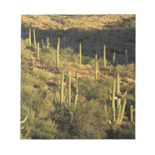 Noord-Amerika, VS, Arizona, Sonorawoestijn Notitieblok