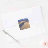 Noord-Amerika, VS, Califorinia, Death Valley 3 Vierkante Sticker (Envelop)