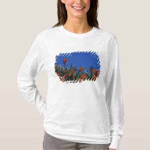 Noord-Amerika, VS, Californië, Antelope Valley, 3 T-shirt