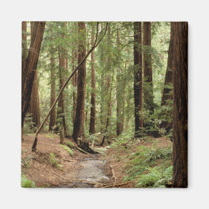 Noord-Amerika, VS, Californië, Big Sur, 3 Magneet