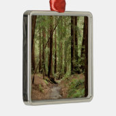 Noord-Amerika, VS, Californië, Big Sur, 3 Metalen Ornament (Rechts)